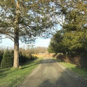 Meet your Posher, Lane